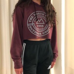 Cropped North Face Circle Logo Hoodie